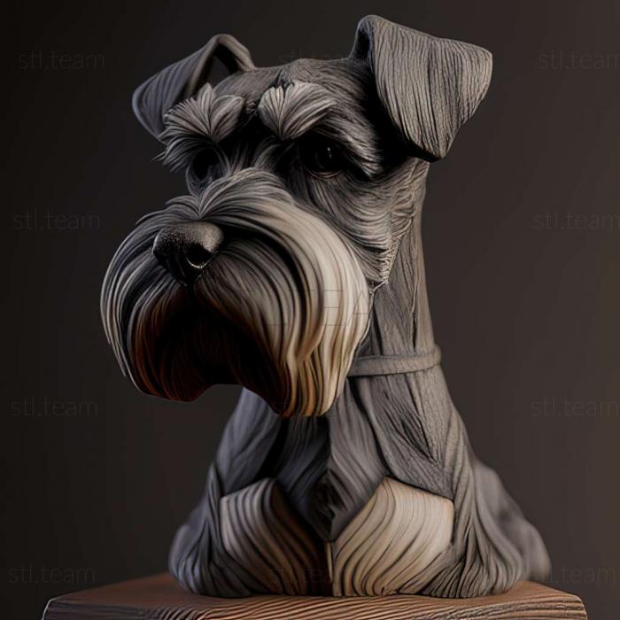 Zwergschnauzer dog